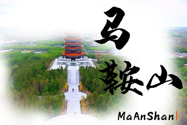 馬鞍山汽車托運(yùn)公司
