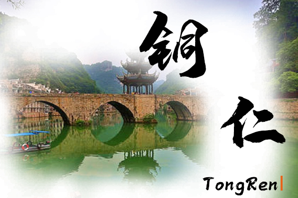 銅仁汽車托運(yùn)公司