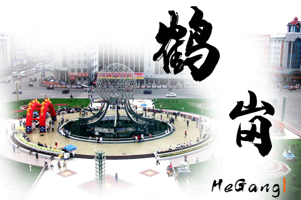 鶴崗汽車(chē)托運(yùn)公司